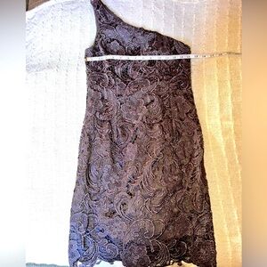 Adrianna Papell one shoulder lace cocktail dress.